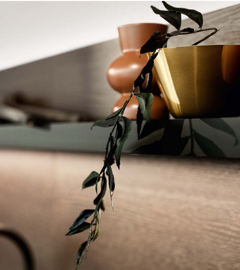 Detailaufnahme einer dunklen, Holz-furnierten Küchenwand und eines dunkelgrünen Regals. Auf dem Regal stehen eine goldene Schale und eine braune Vase, davor hängt ein dunkler Pflanzenzweig.