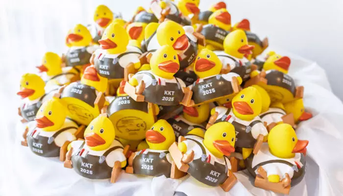 Kleine KKT Enten